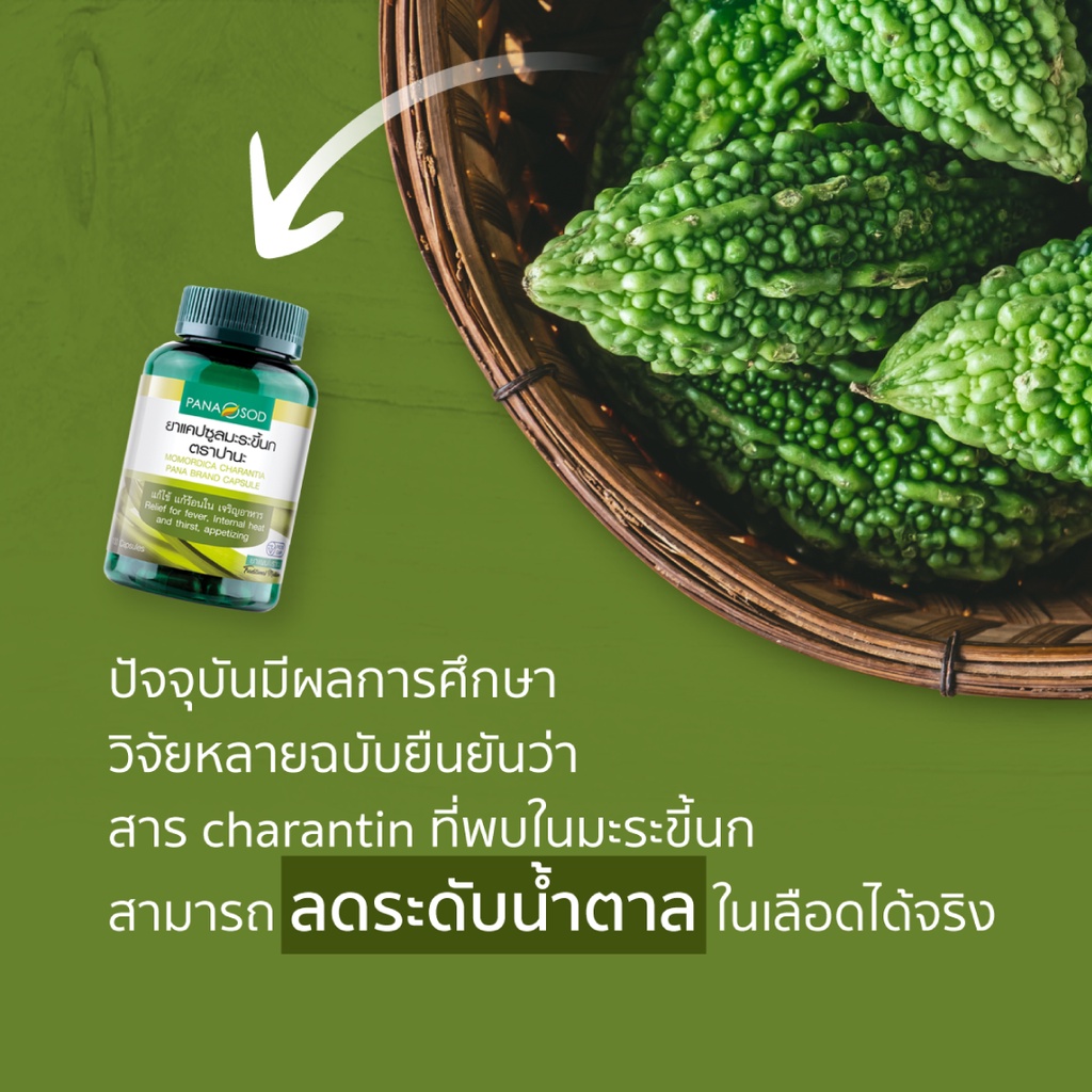 ภาพสินค้ามะระขี้นก ปานะโอสถ 100 แคปซูล จากร้าน herbalxth บน Shopee ภาพที่ 2