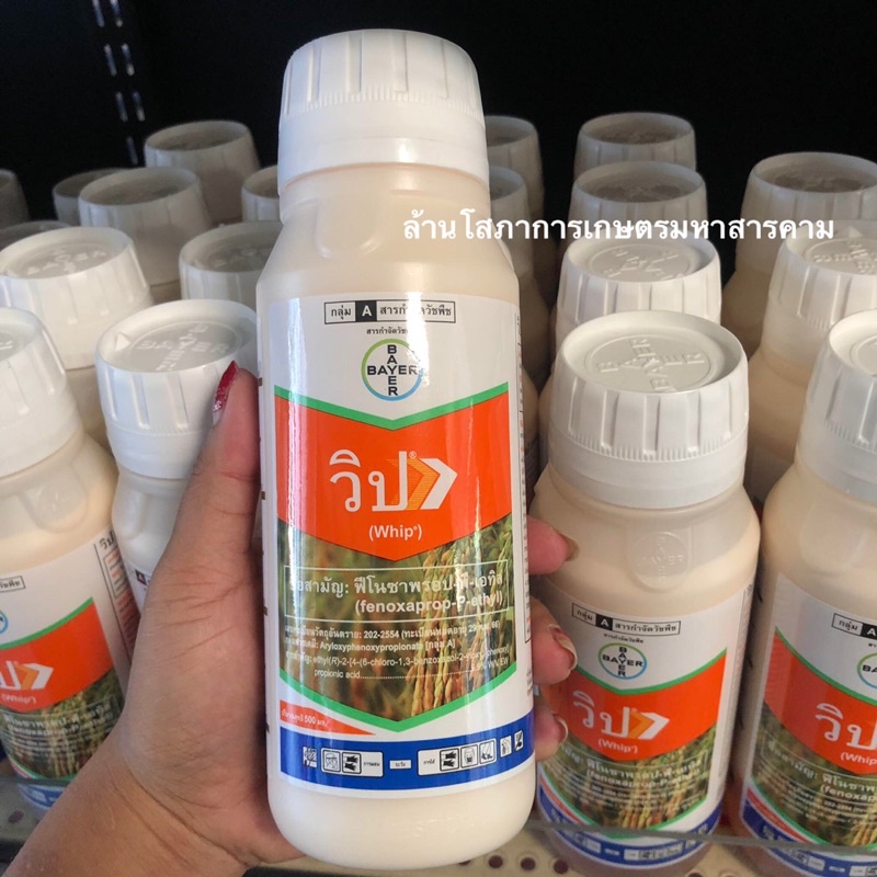 ขายส่ง483-ชื่อเดิมวิป7-5-whip-7-5-ขนาด500cc-fenoxaprop-p-ethyl-กำจัดวัชพืช-หญ้าข้าวนก-หญ้าแดง-หญ้ากระดูกไก่-หญ้าลิเก