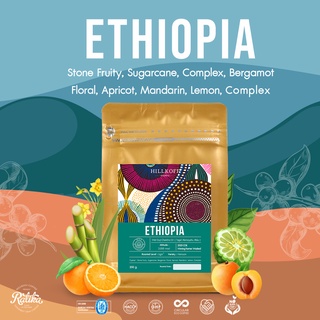 ภาพหน้าปกสินค้าRatika | Ethiopia Arabica Specialty Roasted Wet Process : เมล็ดกาแฟคั่ว กาแฟ อาราบิก้าแท้ 100% สเปเชียลตี้ เอธิโอเปีย ซึ่งคุณอาจชอบสินค้านี้