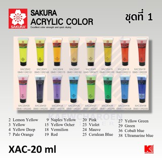 สินค้า สีอคิลิค (Acrylic) ชุดที่ 1 SAKURA XAC 20 ml.