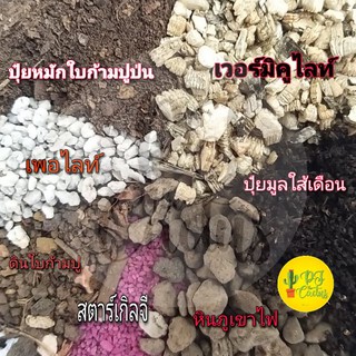 สินค้า ดินแคคตัส ดินกระบองเพชร ดินผสมพร้อมปลูก 500-1kg