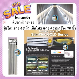 โคมเทนนิ่งปลามังกรทอง Tanning Lamp LED SlimPlus GOLD Series By AROPLUS รุ่นโคมยาว 48 นิ้ว เม็ดไฟ2แถว ความกว้าง 10นิ้ว