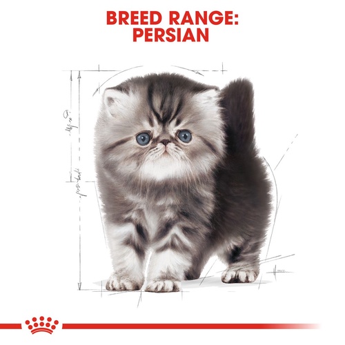 อาหารแมว-royal-canin-persian-kitten-สูตรลูกแมวเปอร์เซีย-และสูตรแมวเปอร์เซียโต-4-kg