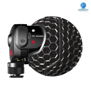 RODE Stereo VideoMic X ไมค์สำหรับติดกล้องดิจิตอลและบันทึกเสียง ชนิด Acoustically matched true condenser capsules