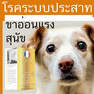 สินค้า ยาบำรุง ปลายประสาทของสุนัข ยาบํารุงปลายประสาท ยาบำรุงสมอง ในสุนัข ยาบํารุงสมองสุนัข Neurobion สุนัข วิธีกายภาพบำบัดสุนัข