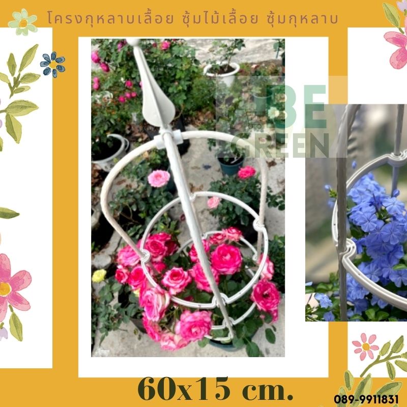 ซุ้มไม้เลื้อย-สีสวย-สูง60ซม-โครงไม้เลื้อย-ซุ้มกุหลาบ-ซุ้มกุหลาบเลื้อย-ทนทานโครงเหล็กไม้เลื้อย-โครงกุหลาบ-ซุ้มดอกไม้