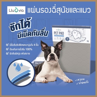 ภาพขนาดย่อของภาพหน้าปกสินค้าแผ่นรองฉี่สุนัข Lluvia PetPad แบบซักได้ อย่างดีซึบซับเร็ว หนานุ่มถึง4ชั้น ป้องกันการรั่วซึมได้100% จากร้าน puppyhouse6363 บน Shopee