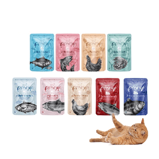 โปรโมชั่น : ซอง PRAMY Classy พรามี่ อาหารเปียกแมว ขนาด 70 กรัม