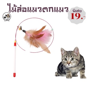 ไม้ตกแมวขนไก่ รุ่นขายดีราคา19฿ มีชำระปลายทางค่าส่ง23฿