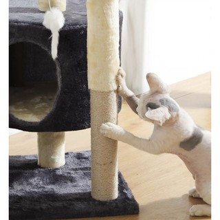 ภาพขนาดย่อของภาพหน้าปกสินค้าP122 พร้อมส่ง คอนโดแมว 2ชั้น คอนโดแมว ที่ลับเล็บแมว เตียงแมว ของเล่นแมว คอนโดแมวราคาถูก ที่ลับเล็บแมว บ้านแมว จากร้าน baandee บน Shopee ภาพที่ 4