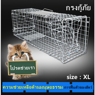 CatTrap4You (XL) trap cat made of galvanized กรงดักแมว &amp; กรงดักหมา MyCatTrap ปลอดภัยอย่าให้โดนสัตว์ขังกรงถังขยะกับดัก