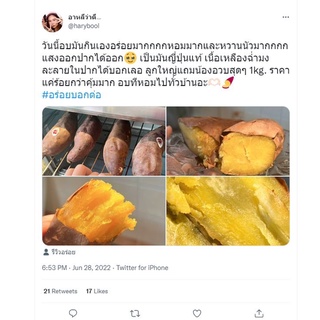 ภาพขนาดย่อของภาพหน้าปกสินค้าลดทั้งร้าน มันหวานญี่ปุ่นแท้ ตรามงกุฏ เนื้อเหลือง หอม หวาน อร่อย 1 กก.เคลมได้ จากร้าน baanmunwhanofficial_shop บน Shopee