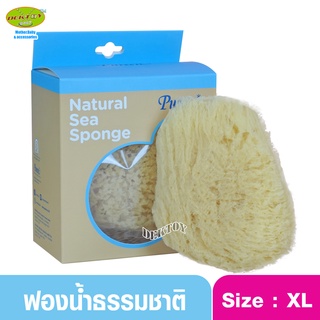 Pureen เพียวรีน ฟองน้ำธรรมชาติ ฟองน้ำอาบน้ำ XL