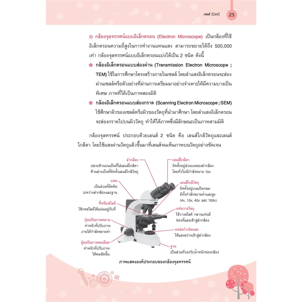 ตัวอย่างตารางสรุป