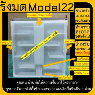 ✨รังมด Model 22 (Ant nest) ชุด Infinity Space ต่อได้ไม่สิ้นสุด รูทางออกขนาด8mm