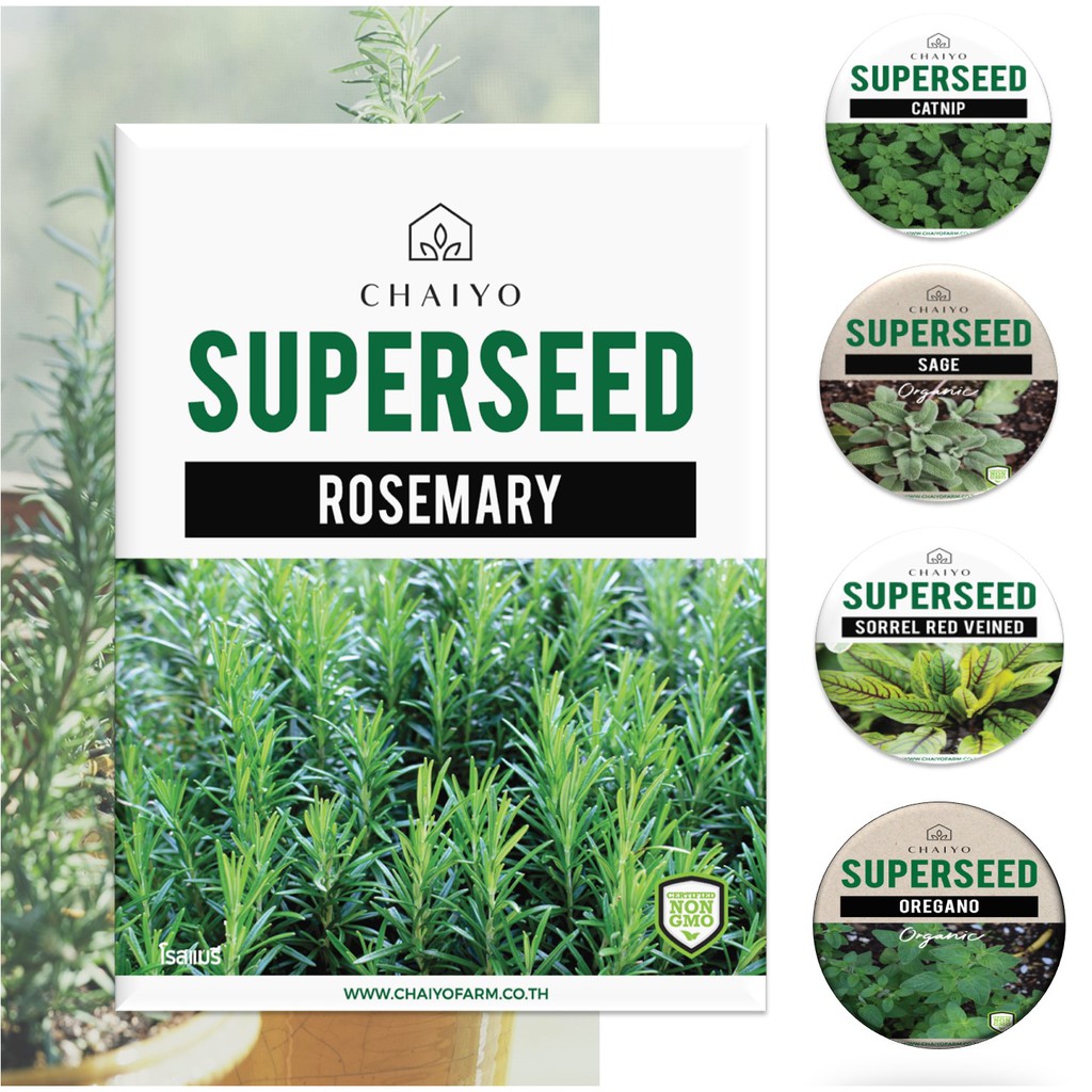 ภาพหน้าปกสินค้าเมล็ด ROSEMARY สมุนไพรโรสแมรี และเมล็ดสมุนไพรกว่า 25 ชนิด เมล็ดพันธุ์ จากร้าน chaiyofarm บน Shopee