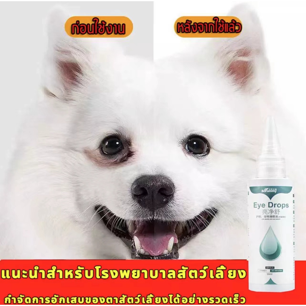 ในการจัดส่ง-ยาหยอดตาสุนัข-ยาหยอดตาแมว-60ml-ยาหยอดตาสำหรับสัตว์เลี้ยง-ยาหยอดตาสัตว์เลี้ยง-pet-eye-drops