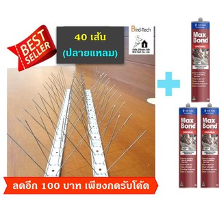 Bird spike หนามกันนก ฐานอลูซิงค์​ ➡️​ปลายแหลม​⬅️​ 40 เส้น แถมกาวตะปู 3 หลอด