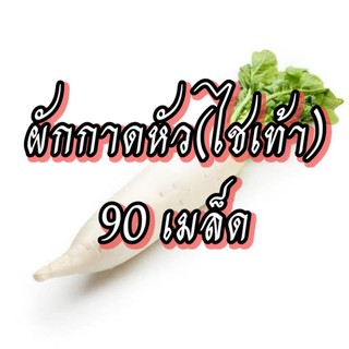 เมล็ดผักกาดหัว ไชเท้า เมล็ดผักสวนครัว เมล็ดผัก5บาท