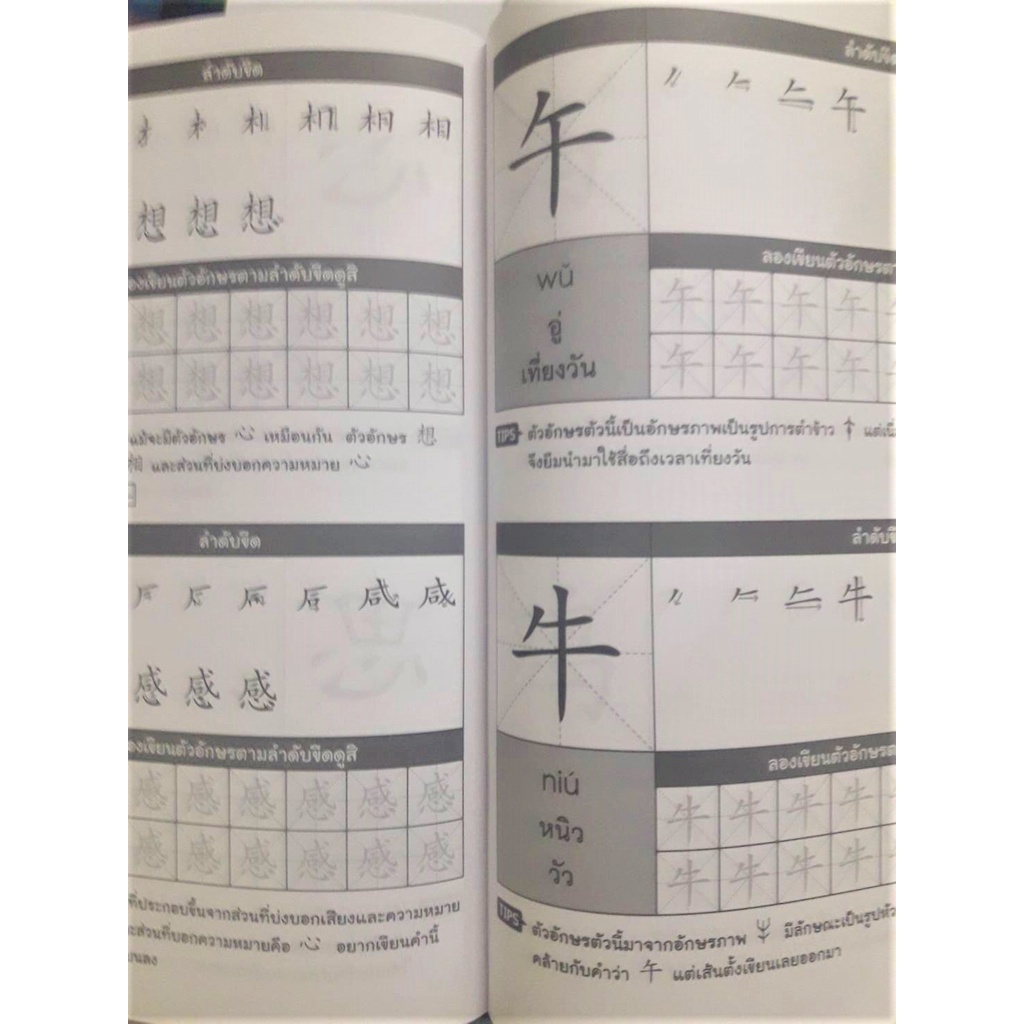 ภาษาจีน-มาเขียนอักษรจีนกันเถอะ-ฝึกคัดอักษรจีน-มี-64-หน้า-120-ตัวอักษร-โดย-nanmeebooks