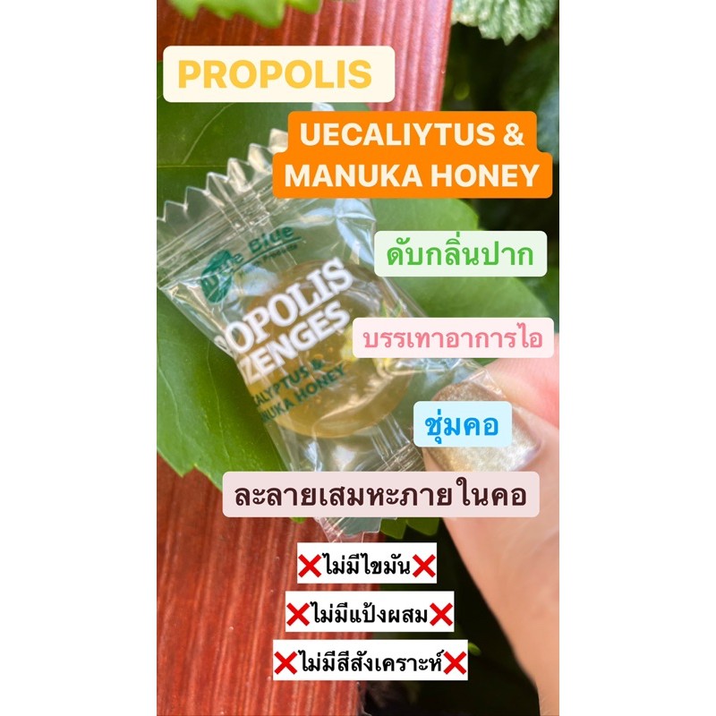 true-blue-propolis-manuka-honey-eucalyptus-lozenges-800g-180-เม็ด-ลูกอมน้ำลายผึ้ง