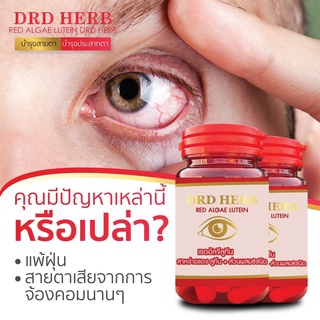 ภาพหน้าปกสินค้าเซ็ท 3 กระปุก แถมยาหม่องสมุนไพร 1 สาหร่ายแดง DRD HERB จบทุกปัญหาดวงตา ตามัว มองไม่ชัด คัน น้ำตาไหล ตาล้า ระคายเคือง ต้อ ที่เกี่ยวข้อง