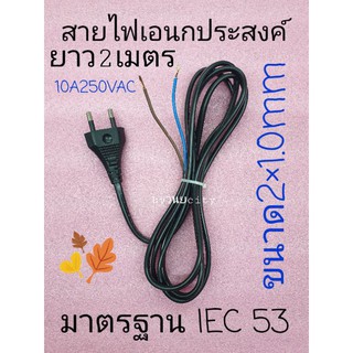 ภาพหน้าปกสินค้าสายไฟพัดลมอย่างดียาว 2 เมตร ขนาด 2×1.0มิลเต็ม 220-500VAC มาตรฐาน IEC53 มี มอก. สีดำ ซึ่งคุณอาจชอบราคาและรีวิวของสินค้านี้