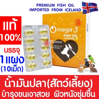 ภาพหน้าปกสินค้า*โค้ดส่งฟรี* โอทรีโกลด์ O3gold น้ำมันปลา (1แผง) O3 gold วิตามิน บำรุงผิว บำรุงขน แก้ขนร่วง สุนัข แมว นก หมา Fish oil ที่เกี่ยวข้อง