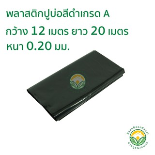 ภาพหน้าปกสินค้าพลาสติกปูบ่อ PE หนา 0.20มม ขนาด กว้าง 12 เมตร ยาว 20 เมตร สีดำ ซึ่งคุณอาจชอบสินค้านี้