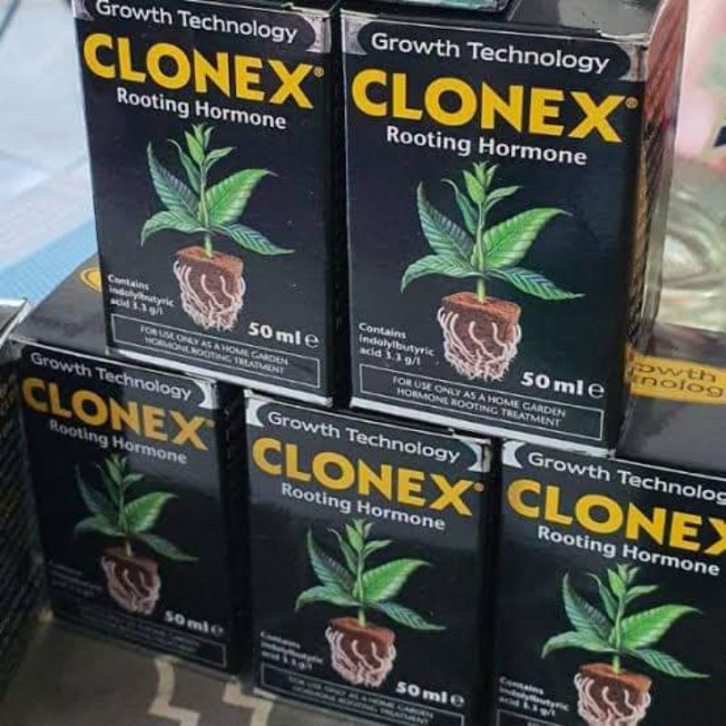 Clonex rooting Jel เจลฮอร์โมนเร่งราก นำเข้าจากอเมริกา ของแท้100% ...