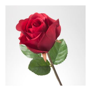 (ทักแชทเช็คของก่อนสั่งซื้อ) ดอกกุหลาบแดง ดอกไม้ปลอม ดอกใหญ่ 52 ซม. และ 72 ซม.