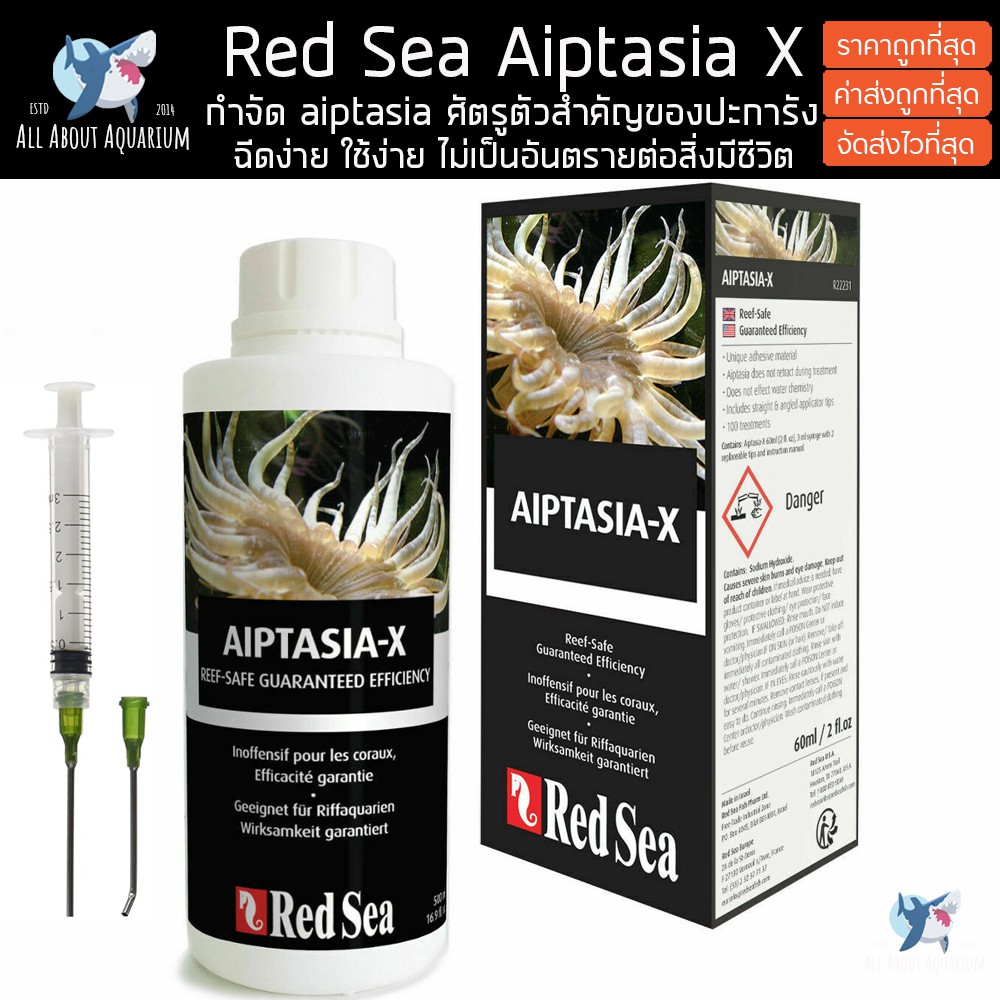 ขายส่ง-redsea-aiptasia-x-ฉีดอิปทาเซียที่ดีที่สุด-ขนาด-60ml-ฉีดง่ายใช้ง่าย-ไม่เป็นอันตรายต่อสิ่งมีชีวิตทุกชนิด-red-sea