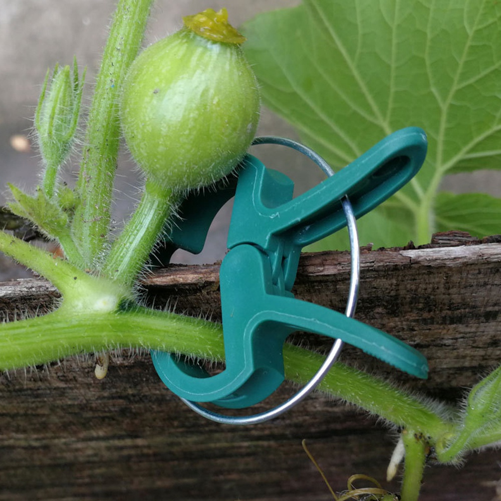 back2life-plastic-plant-fixed-clamp-tied-farm-supplies-support-clips-bundle-stakes-connector-branch-clamping-stem-fastener-grafting-planting-garden-tool