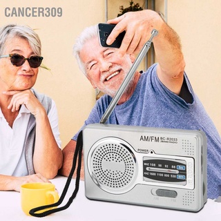 Cancer309 Am Fm ทรานซิสเตอร์วิทยุ Dsp ชิป แบบพกพา ขนาดเล็ก พร้อมแจ็คหูฟังลําโพง สีเทาเงิน