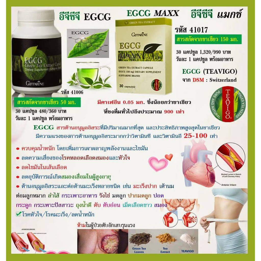 egcg-maxx-green-tea-extract-capsule-egcg-150-mg-ผลิตภัณฑ์เสริมอาหาร-ตรากิฟฟารีน-ingredients-ต่อแคปซูล