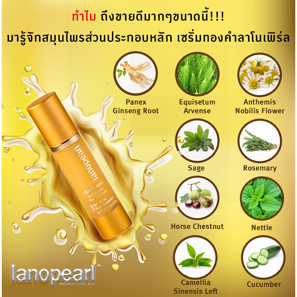 lanopearl-himalaya-ครีมหน้าขาว-50-g-คู่กับ-lanopearl-serum-gold-ขนาด-50-ml