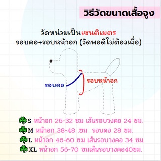 ภาพขนาดย่อของภาพหน้าปกสินค้าพร้อมส่งในไทย เสื้อจูงสุนัข เสื้อจูงแมว สายจูง สายรัดอก เสื้อจูงสัตว์เลี้ยง จากร้าน tm.online บน Shopee ภาพที่ 1