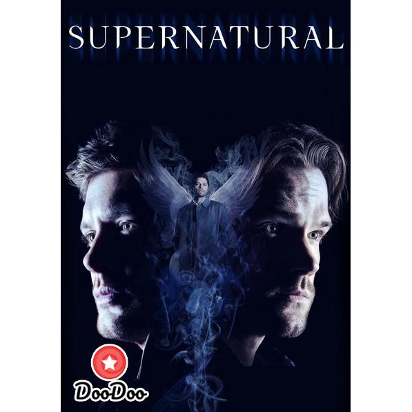supernatural-season-14-ล่าปริศนาเหนือโลก-ปี-14-20-ตอนจบ-ซับไทย-dvd-4-แผ่น