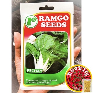 Approx. 500 seeds Repacked Ramgo Pechay Seeds文胸/园艺/苹果/香菜/内裤/裙子/芹菜/帽子/玫瑰/鲜花/ 2YRQ