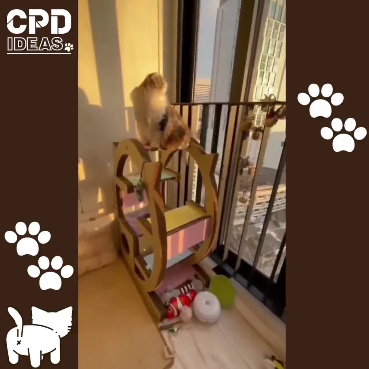 คอนโดแมว-floor-6-cat-condo-รุ่น-คอนโดแมว-6-ชั้น-cpd-ideas