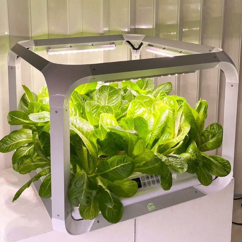 smart-cell-เครื่องปลูกผักอัตโนมัติภายในอาคาร-เครื่องปลูกพืช-เฟอร์นิเจอร์ปลูกพืช