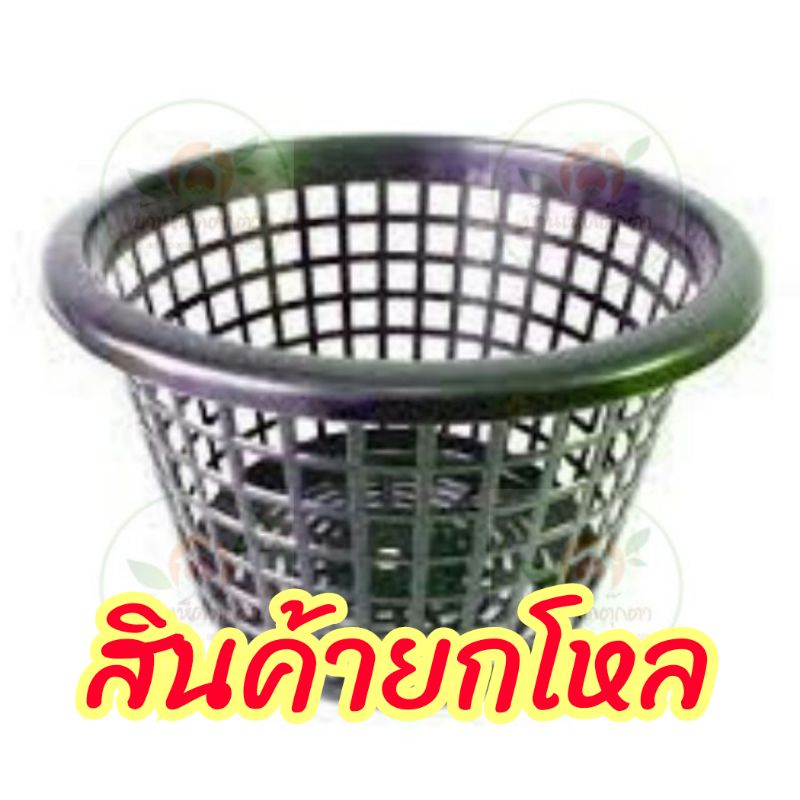 ยกโหล12ใบ-ตะกร้าเพาะเห็ดฟาง-ตะกร้าเพาะปลูกเฟิร์น