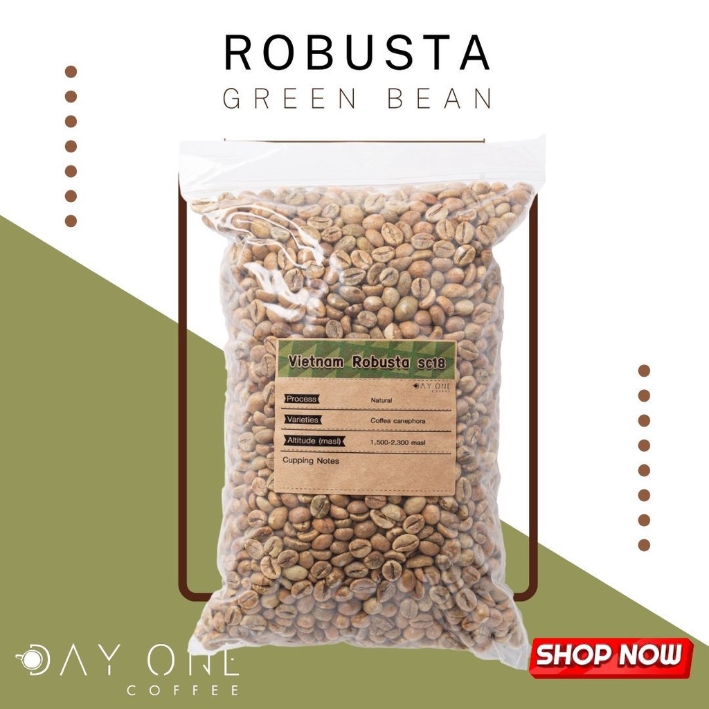 สารกาแฟโรบัสต้า-robusta-green-bean-day-one-cofee