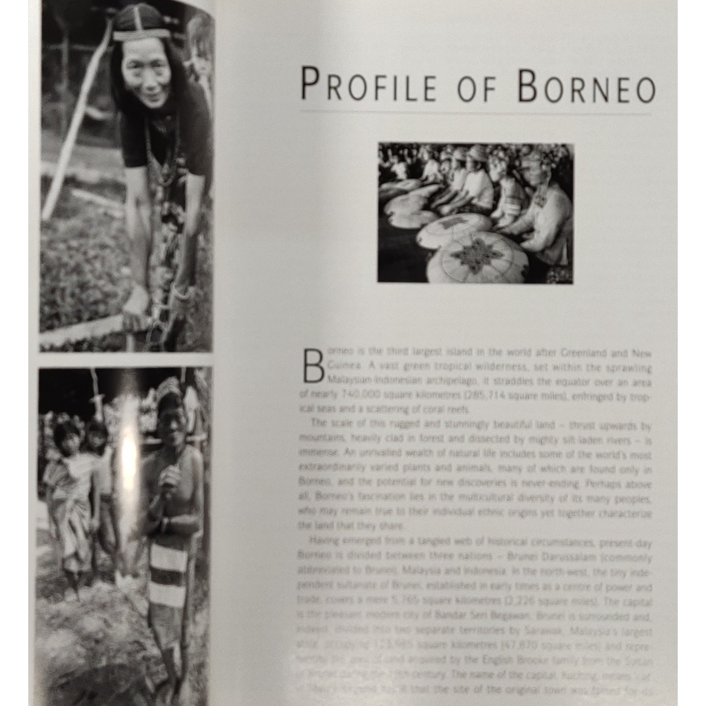 หนังสือ-บอเนียว-ภาษาอังกฤษ-this-is-borneo-sabah-sarawak-brunei-and-kalimantan-176page