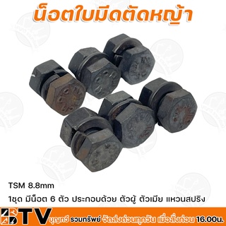 น็อตใบมีดตัดหญ้า TSM 8.8mm  1ชุด มีน็อต 6 ตัว ตัวผู้ ตัวเมีย แหวนสปริง น้อตยึดใบมีดเครื่องตัดหญ้า รับประกันคุณภาพ