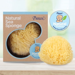 สินค้า Pureen Natural Sea Sponge ฟองน้ำธรรมชาติ (ไซด์ M)