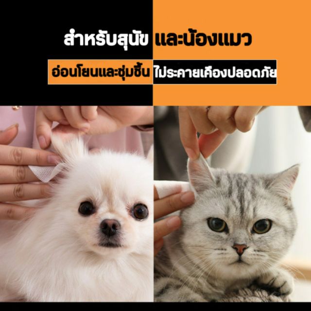 ภาพหน้าปกสินค้าแผ่นเช็ดหู แมว สุนัข ทำความสะอาดหูสัตว์เลี้ยง จากร้าน catshop.me บน Shopee