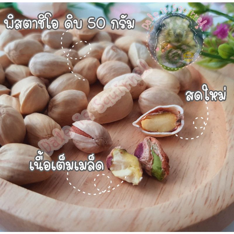 พิสตาชิโอ-ดิบ-pistachio-50-g-แทะลับฟัน-อาหารสัตว์-อาหารสัตว์ขนาดเล็ก-สัตว์ฟันแทะ-อาหารกระรอก-นก-หนู-แฮมสเตอร์