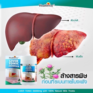 Healthway Liver Tonic 35000 mg ล้างตับที่ดีที่สุด