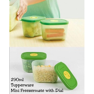 Minifreezertupperware (1) ภาชนะบรรจุเนื้อสัตว์ ผัก ผลไม้ พริก หัวหอม